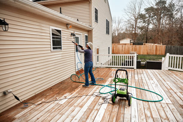 Best House Pressure Washing  in Mountain Lake, MN