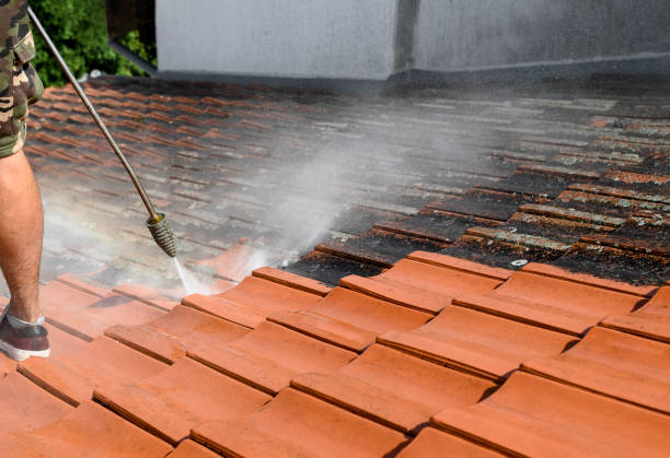Best Pressure Washing Patio  in Mountain Lake, MN