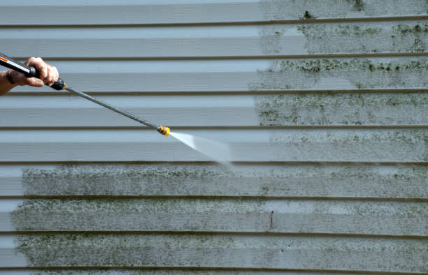 Best Roof Power Washing Services  in Mountain Lake, MN