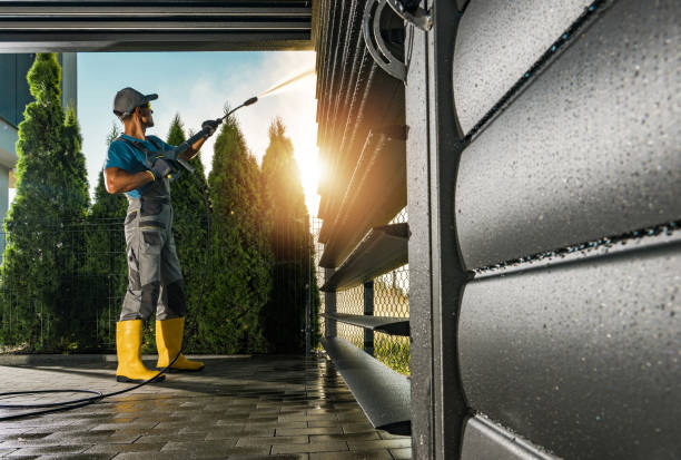 Best Pressure Washing Driveway  in Mountain Lake, MN