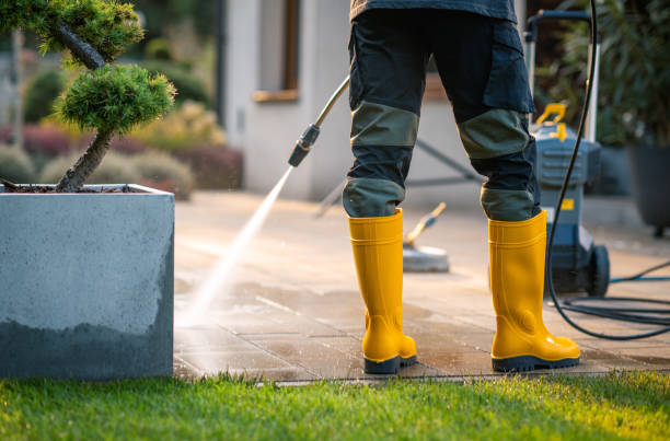 Best Deck Pressure Washing  in Mountain Lake, MN